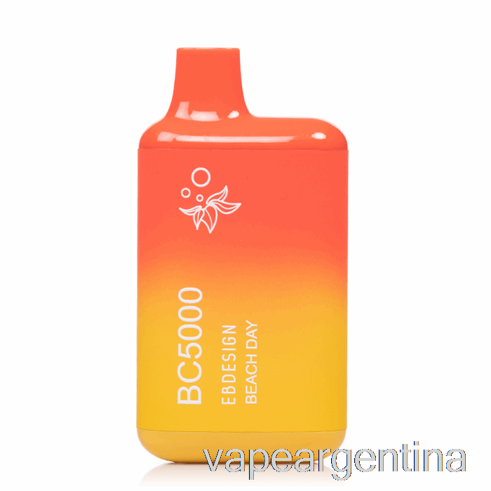 Vape Desechable Para Día De Playa Bc5000 Argentina